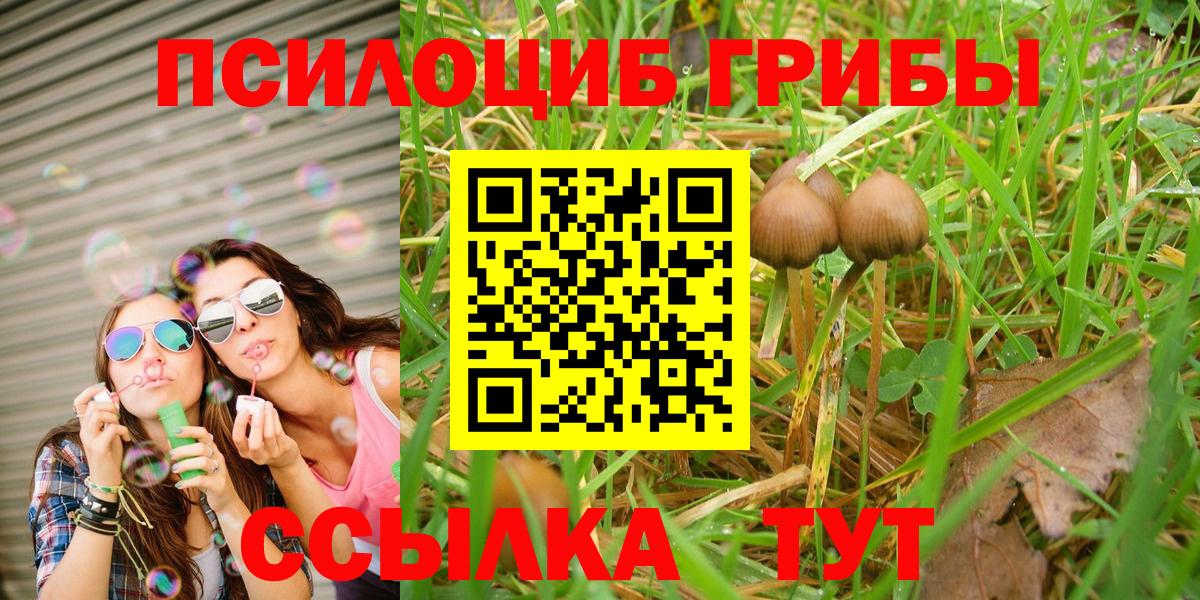 Галлюциногенные грибы MAGIC MUSHROOMS Кимры