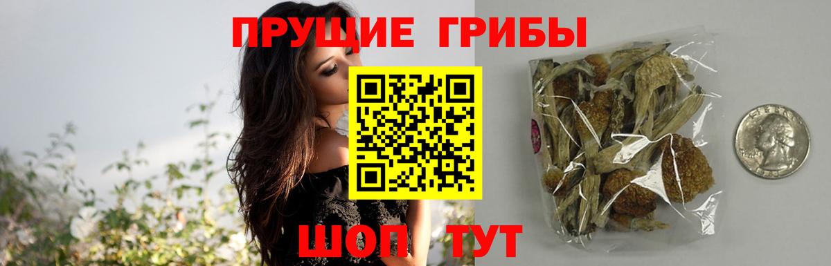 Галлюциногенные грибы Psilocybine cubensis  Галлюциногенные грибы мицелий  цены наркотик  Кимры  Вход с VPN 